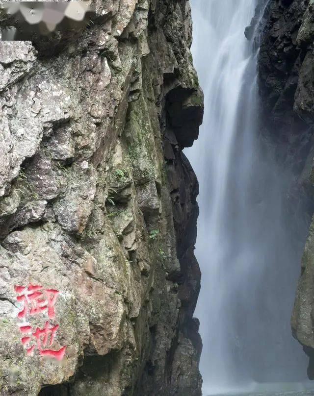 滴露和威露士哪个好用？游戏画面